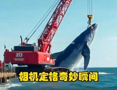 米兰体育-精彩瞬间：令人屏息凝视，惊险刺激